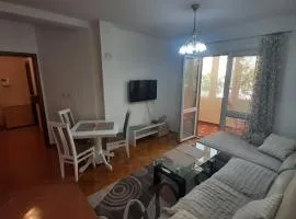 Family Comfort Apartment