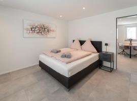 Elegante Wohnung, zentral gelegen!，位于温特图尔的酒店