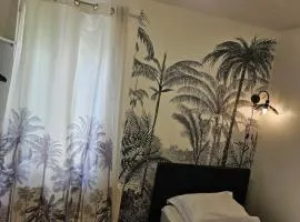 Chambre solo - Gare Annemasse