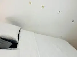Chambre pinselc