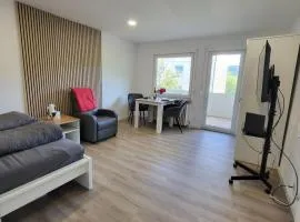 Gemütliche Einzimmerwohnung