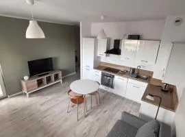 Oliwkowy Apartament Hennela