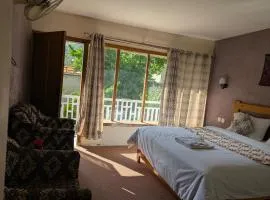 White Apricot Lodge