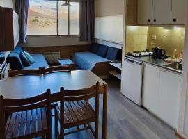Apartment in Las Leñas，位于拉斯莱尼亚斯的酒店