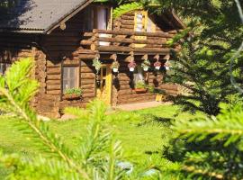 Cabana Daria Arieseni，位于阿列谢尼的酒店