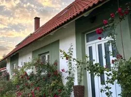 Villa Viktória