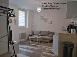Charmant deux pièces lumineux au cœur de Joigny - Zen 1