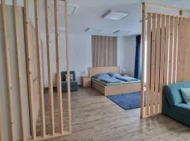 Studio-Apartment Euchen mit 1 Doppelbett