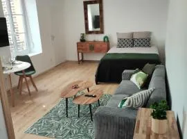 CMG Studio 202 XL Petit Bois Place Ducale