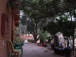 Anwal Ouzoud, Rural Nature Lodge, Coffee Spot & 8-Ball Billiards