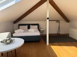 Mendrisio Deluxe Apartament