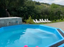 Camere de închiriat Trandafirilor，位于Cerbeşti的酒店