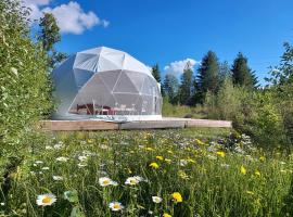 Bubble House glamping telk，位于Sõmeru的酒店