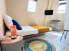 Charming Studio in Central Paris Near the Seine