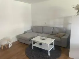 Rural apartment 60 sqm