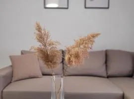 Center River Apartment
