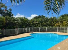 Appartement cosy avec piscine