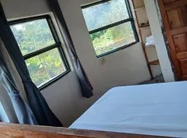 Tiny house, kitchen downstairs