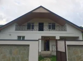 Ananuri hotel-white house