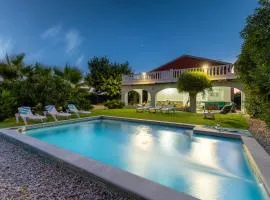 Fidalsa Divine Hiding