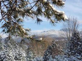 Sutton's montagne view，位于萨顿的酒店