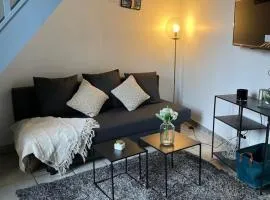 Charmant studio avec mezzanine à côté de la maison des examens