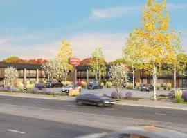 Boundary By Terra Vi Durango