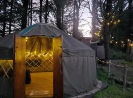 Yurt Pitch - TY GRUG RETREAT