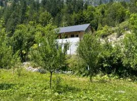 Guest hause Artanii