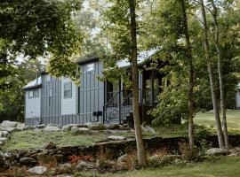 Tiny Home Firepit BBQ Fishing Willow Cabin，位于加特林堡的酒店