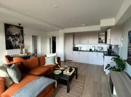 Saya Homes - Modern 70m2 apartment