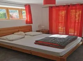 Charmant gîte 43m² à Puget-Théniers - API-1-52-695