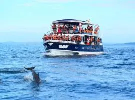 Whale Paradise Cruise Tours