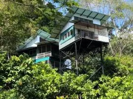 The Emerald Haven