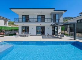 Villa DeFnE Fethiye，位于费特希耶的酒店