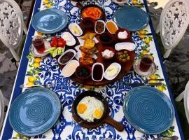 Qafqaz Fountain House