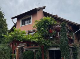 Pokoje pod winogronami，位于Płoty的酒店