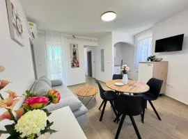 Flowers Apartments Pula, city center