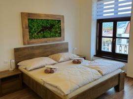 Apartmány NATIVE，位于普雷绍夫的酒店