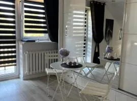 Rooms near Balice airport