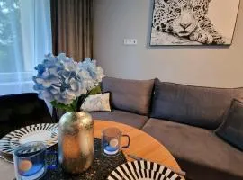 Trumpalaikė buto nuoma Plungėje STUDIJA C