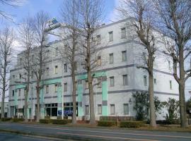 Hotel New Takahashi Tsukuba-Ushiku IC Kouyadai，位于筑波的酒店