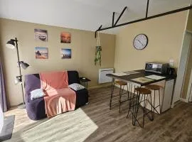 Petite maison T1 bis