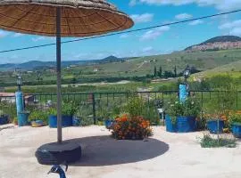 Gîte Le cèdre Bleu