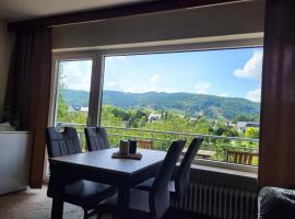 Ferienwohnung Ziegler，位于Schwalefeld的酒店