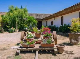 Centro Campestre Pequeño Faisán