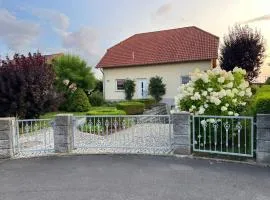Ferienwohnung Hainichblick