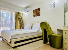 Joy City Stay Memorandului 5，位于蒂米什瓦拉的酒店