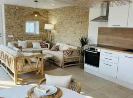 LES MAISONS DE GIROUDET 2 chambres terrasse et piscine