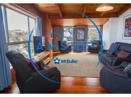 Moose 10 AMS Mt Buller